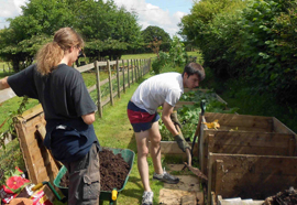 Rhubarb composting